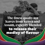 PG Tips Special Blends, Earl Grey Tea Bags Bulk, Refreshing, Light & Citrusy With Bergamot Notes, 6 Packs, 420 Plant Based Biodegradable Teabags - Image 4