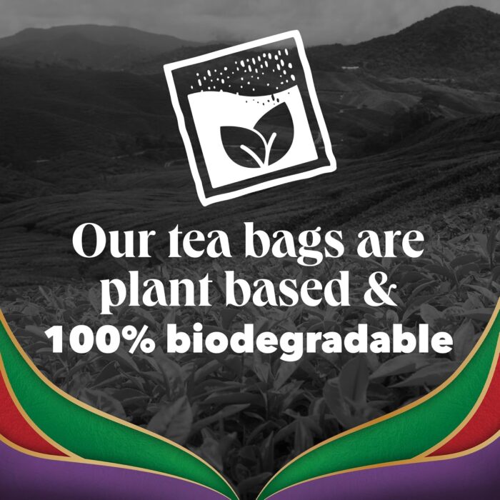 PG Tips Special Blends, Earl Grey Tea Bags Bulk, Refreshing, Light & Citrusy With Bergamot Notes, 6 Packs, 420 Plant Based Biodegradable Teabags - Image 6