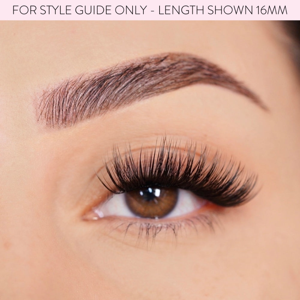 AM0012-1.jpg Amor Lashes QuickLash Mixed Length Individual Lash Clusters Multipack Fierce Black 30 Clusters - Image 1