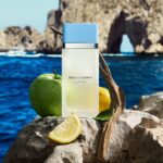 dolce & gabbana light blue eau de toilette 100ml - Image 8