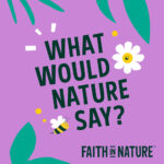 Faith In Nature Lavender & Geranium Body Wash Aluminium Bottle 500ml - Image 6