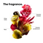 L'Oreal Professionnel Serie Expert Vitamino Colour Spectrum Shampoo, Mask & Serum Trio - Image 5