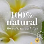 Burt's Bees Lip Balm Honey Duo Pack - Image 3