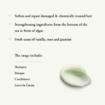 Maria Nila Structure Repairing Shampoo 350ml - Image 2