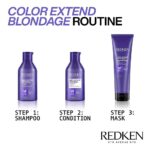 Redken Colour Extend Blondage Complete Blonde Care Set